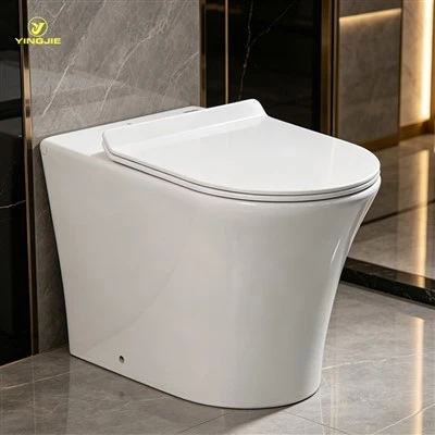 Lúkse Compact Rimless Werom nei Wall WC