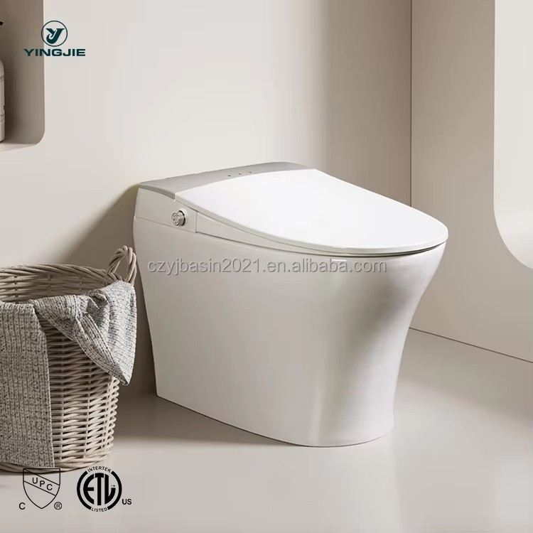 Bathroom Ceramic Intelligente 220V Smart Toilet